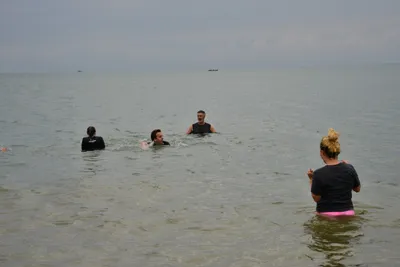 DSC_5417 (Large).JPG